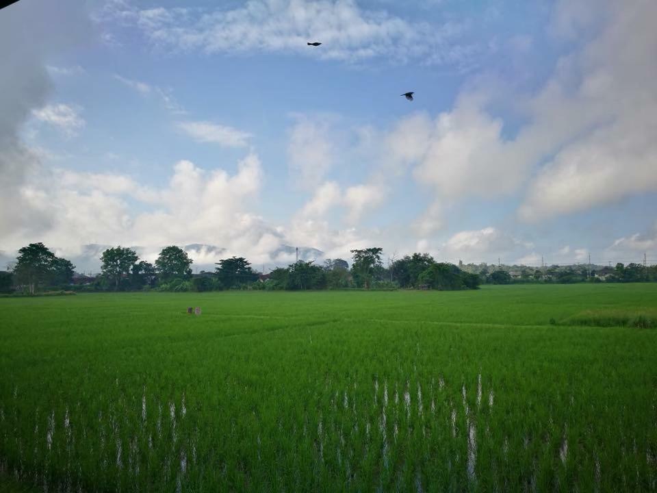 班维普伊度假村 清莱 外观 照片